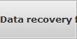 Data recovery for Palm Harbor data