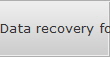 Data recovery for Palm Harbor data